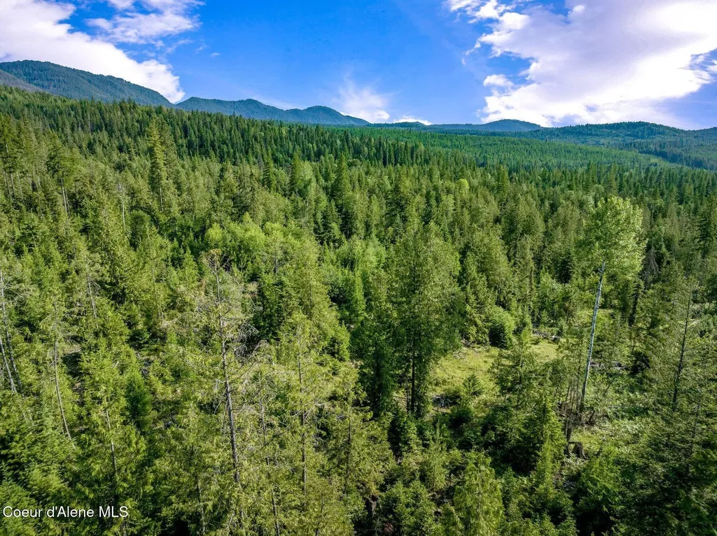 245 Barbary Trail Sandpoint ID 83864