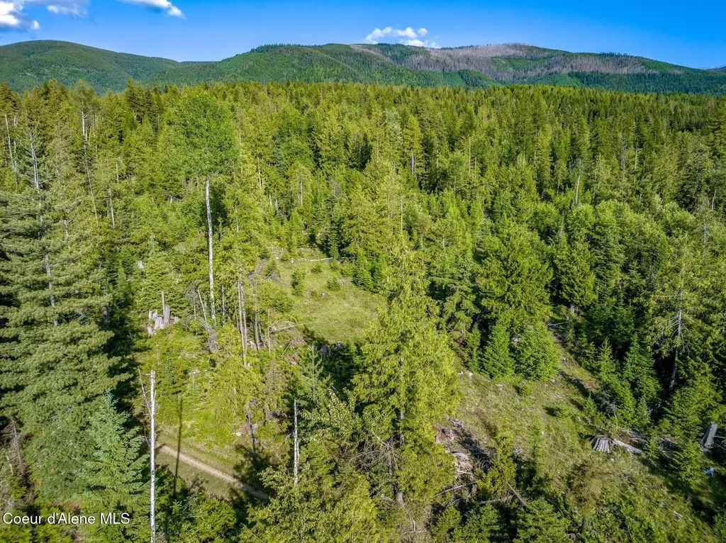 245 Barbary Trail Sandpoint ID 83864