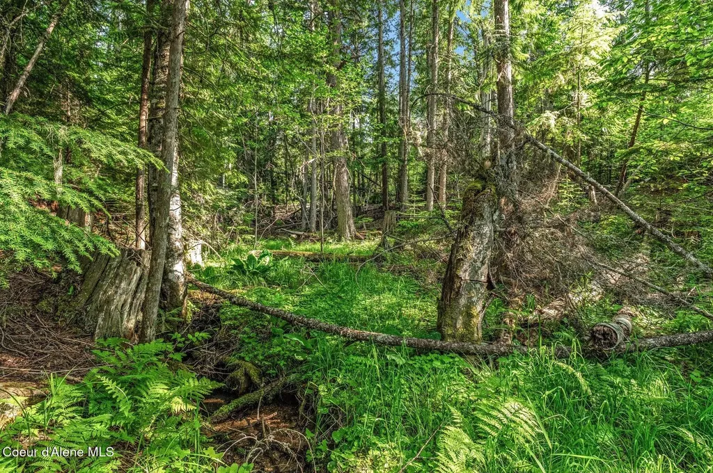245 Barbary Trail Sandpoint ID 83864