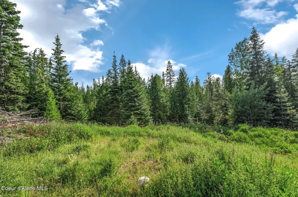 245 Barbary Trail Sandpoint ID 83864