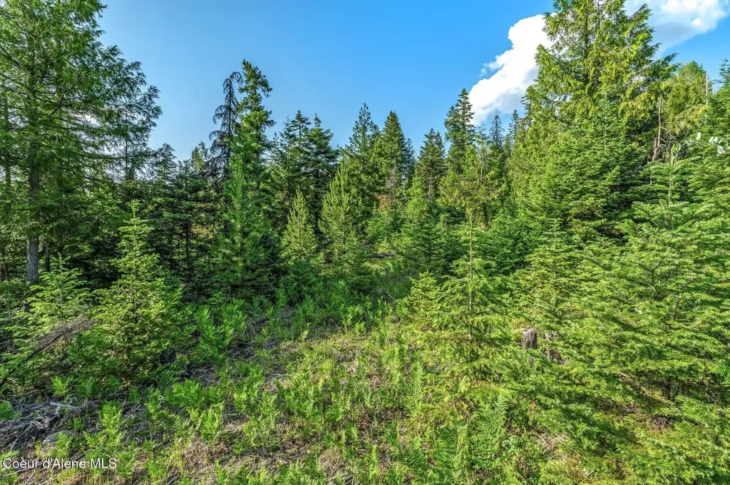 245 Barbary Trail Sandpoint ID 83864