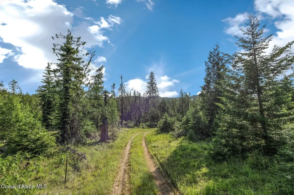 245 Barbary Trail Sandpoint ID 83864
