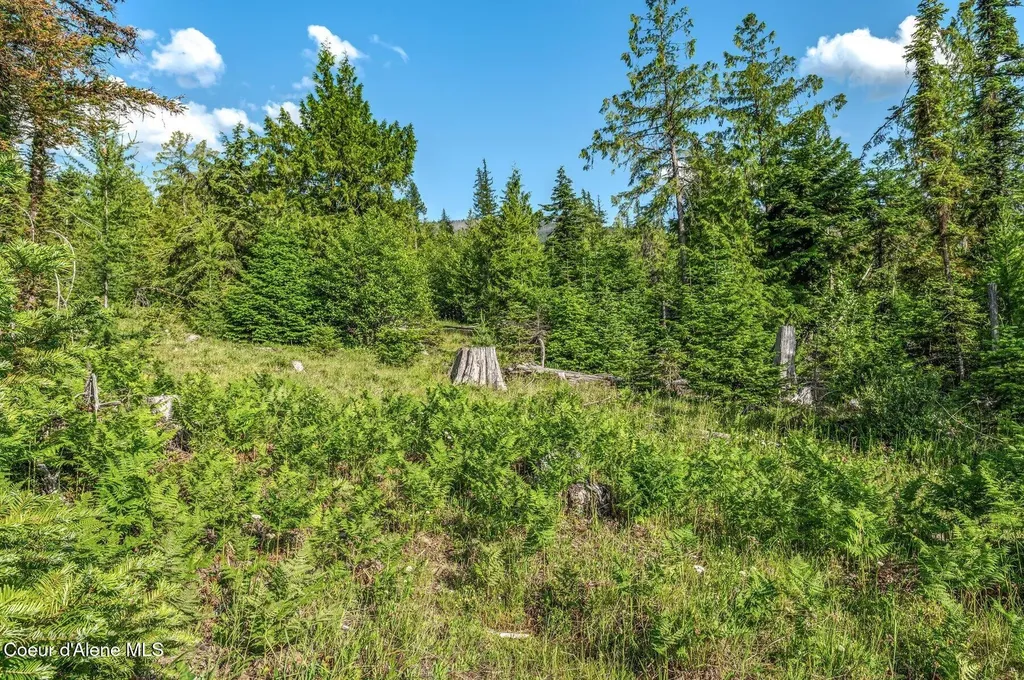 245 Barbary Trail Sandpoint ID 83864