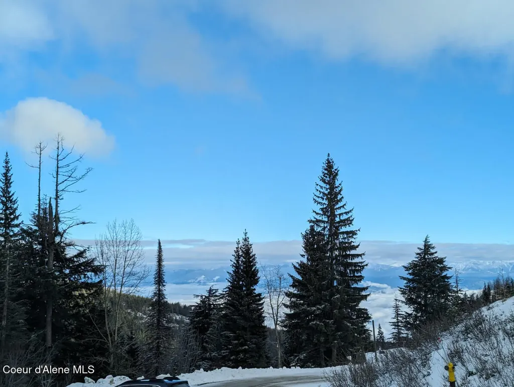 65 Avalanche Road Sandpoint ID 83864