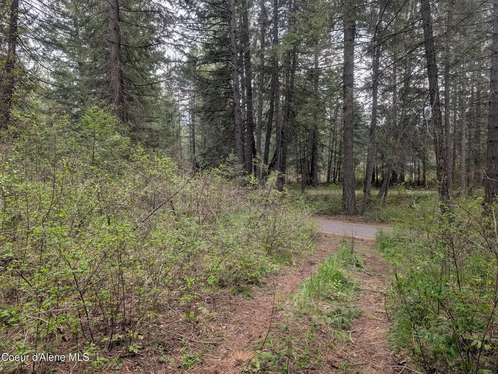 Nka N Osprey Road Spirit Lake ID 83869