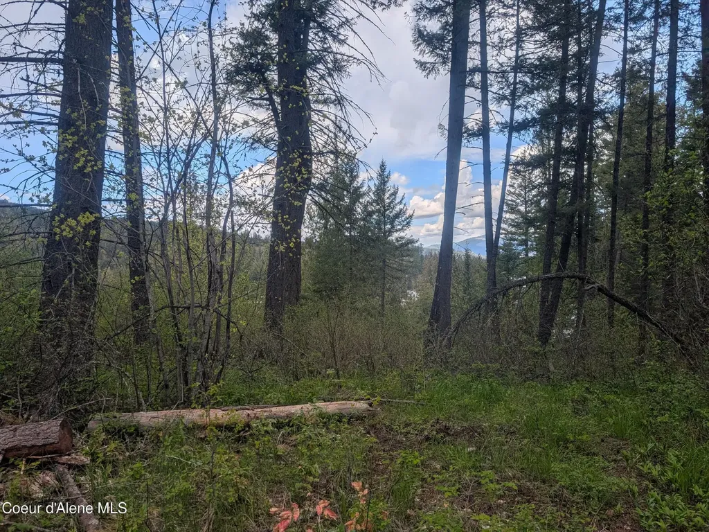 Nka N Osprey Road Spirit Lake ID 83869