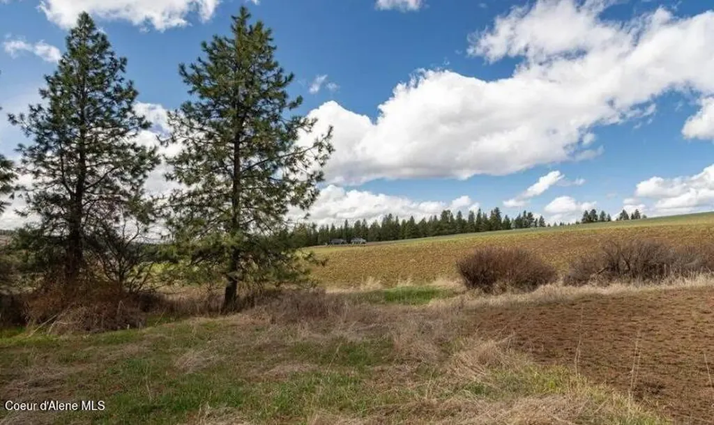 Nka Clifford Road Princeton ID 83857