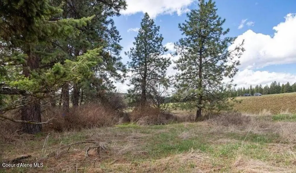 Nka Clifford Road Princeton ID 83857