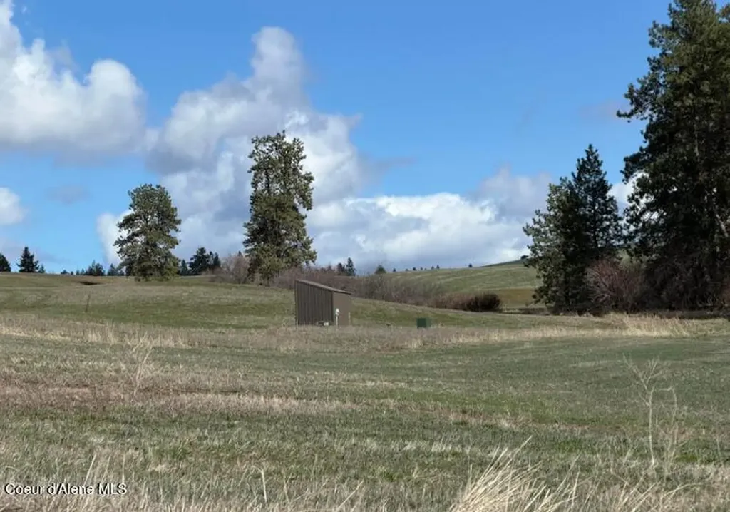 Nka Clifford Road Princeton ID 83857