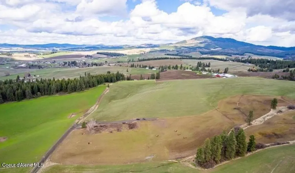 Nka Clifford Road Princeton ID 83857