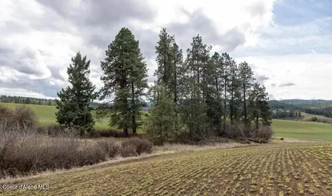 NKA Clifford Road Princeton ID 83857
