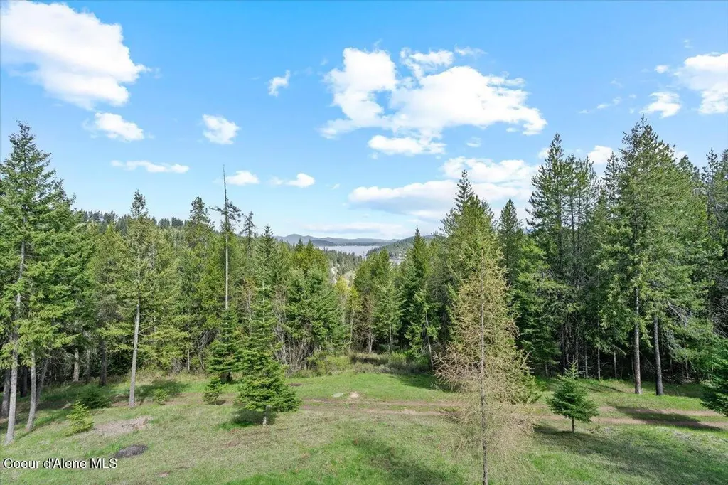4177 E Eagles Mere Road Harrison ID 83833