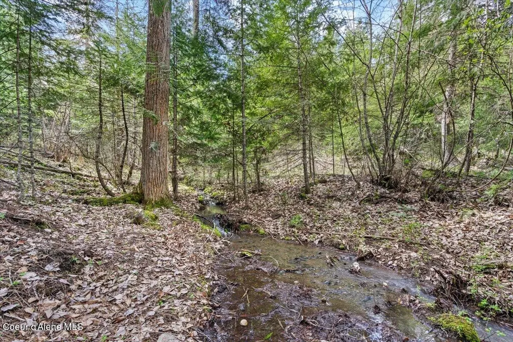 4177 E Eagles Mere Road Harrison ID 83833