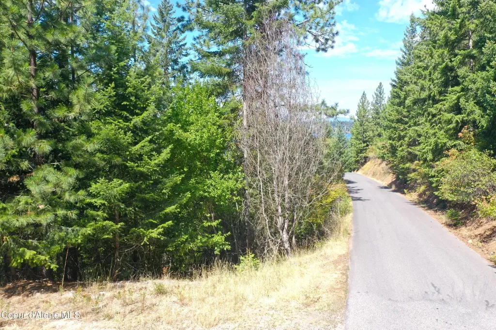 Nka N Half Mile Lane Hayden ID 83835