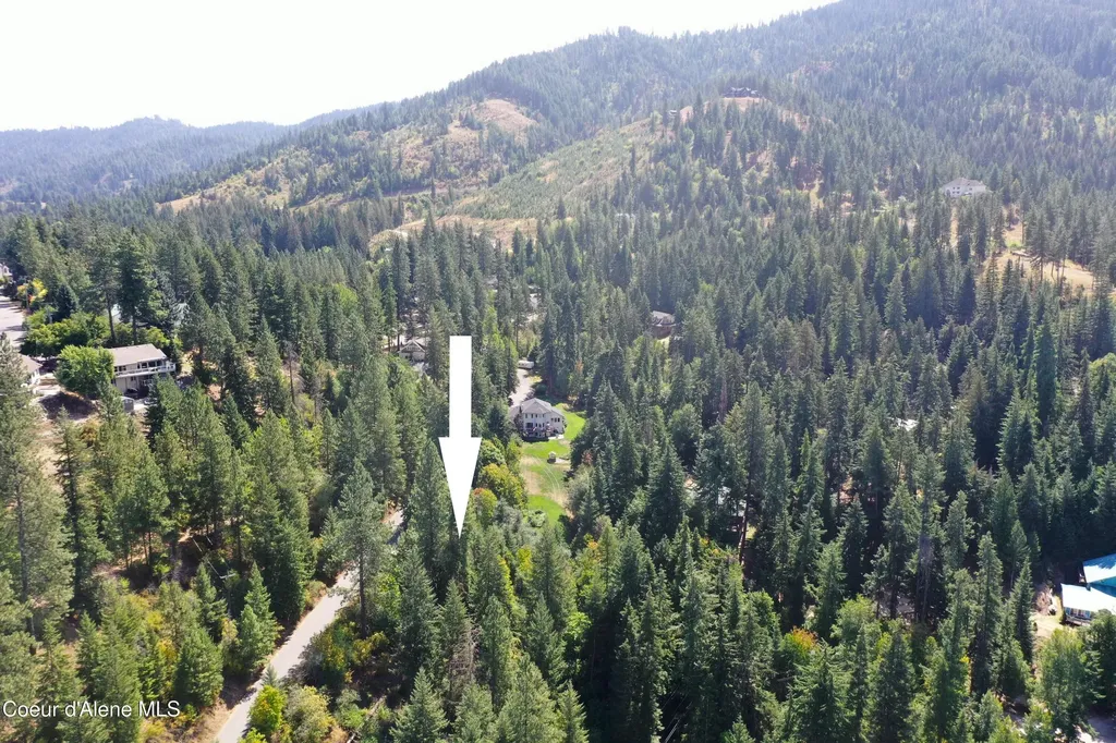Nka N Half Mile Lane Hayden ID 83835