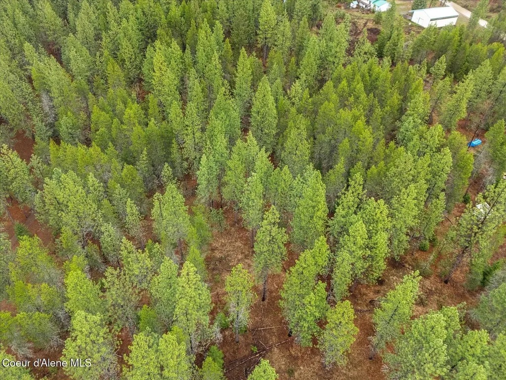 Nna Id 54 Spirit Lake ID 83869