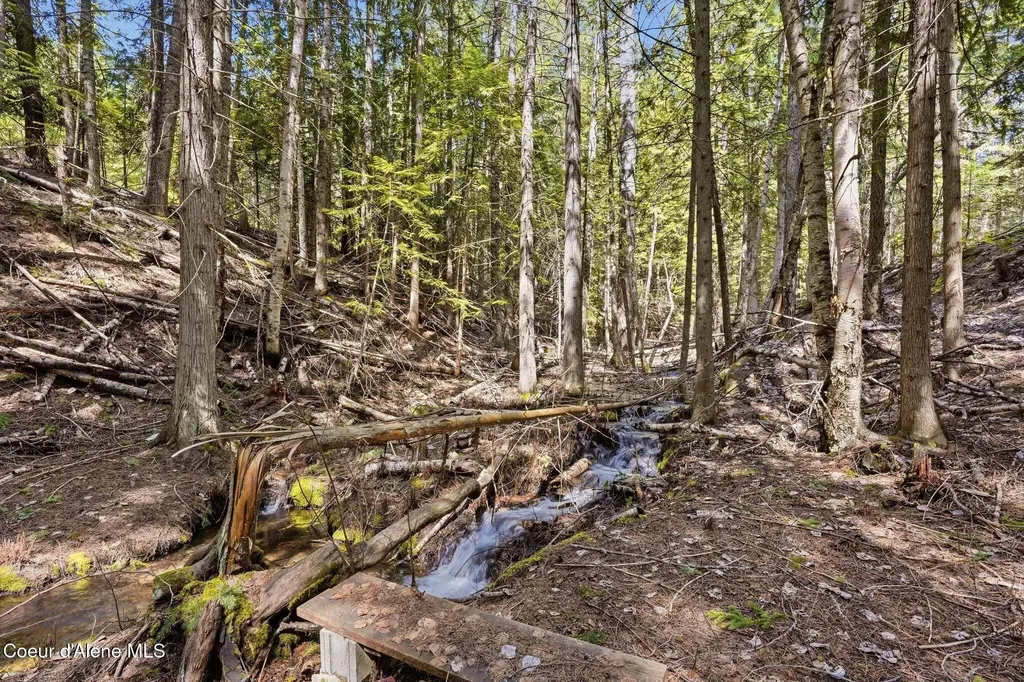 274 Johnny Long Road Sandpoint ID 83864