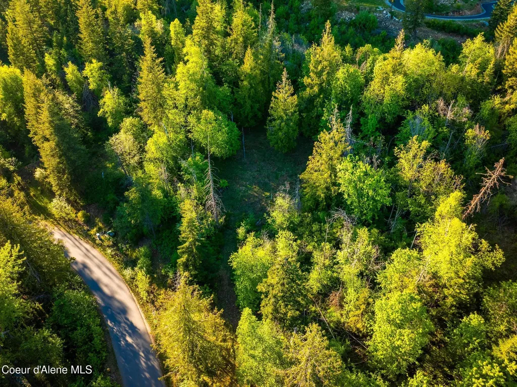 Lot F11 S Idaho Club Drive Sandpoint ID 83864