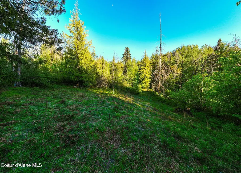 Lot F11 S Idaho Club Drive Sandpoint ID 83864