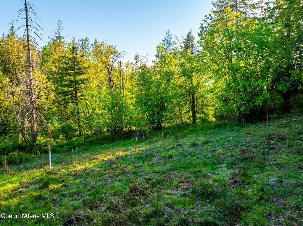 Lot F11 S Idaho Club Drive Sandpoint ID 83864