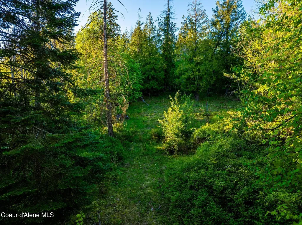 Lot F11 S Idaho Club Drive Sandpoint ID 83864