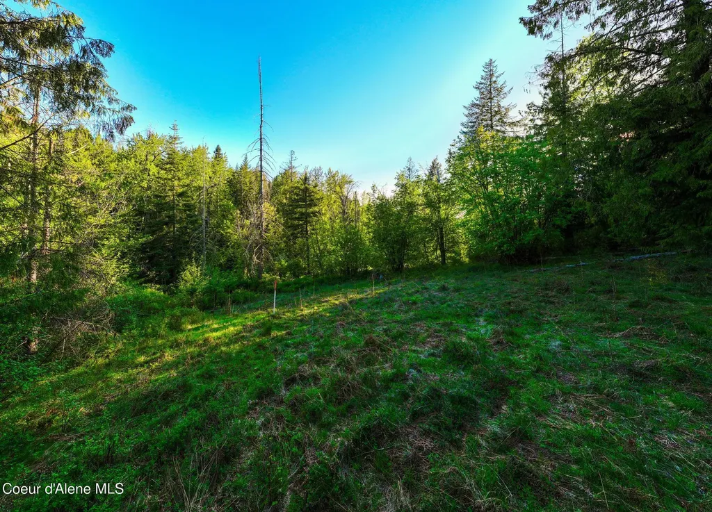 Lot F11 S Idaho Club Drive Sandpoint ID 83864