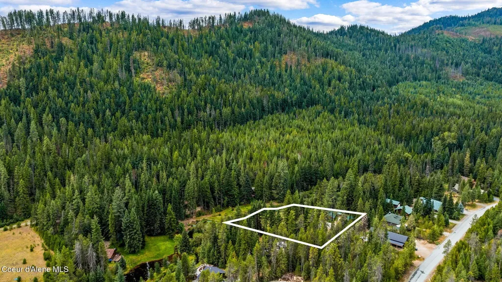 215 Gordon Drive Priest Lake ID 83856