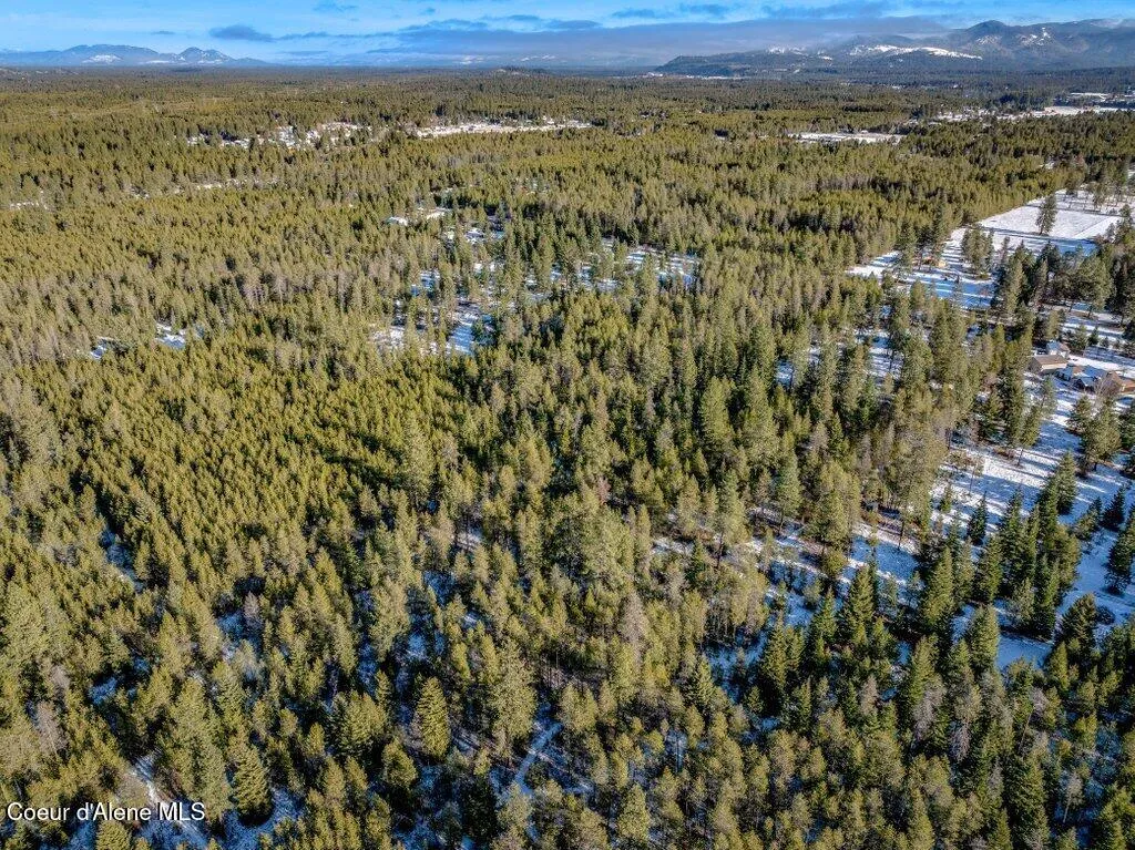 17011 N Wilkinson Road Rathdrum ID 83858
