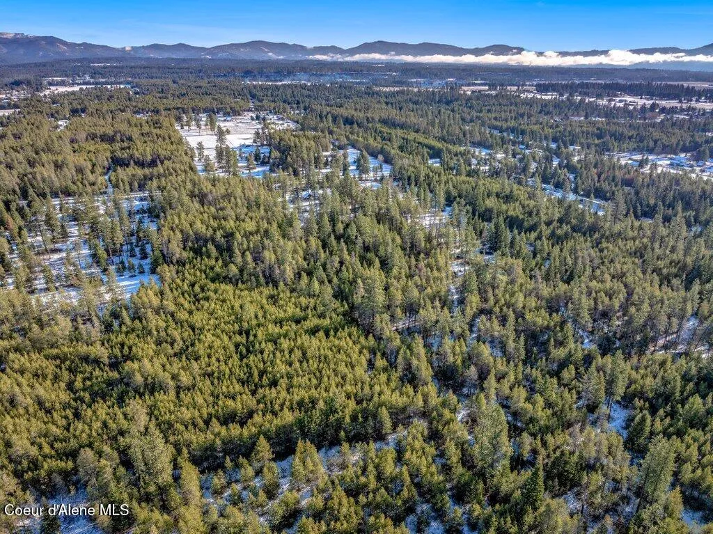 17011 N Wilkinson Road Rathdrum ID 83858