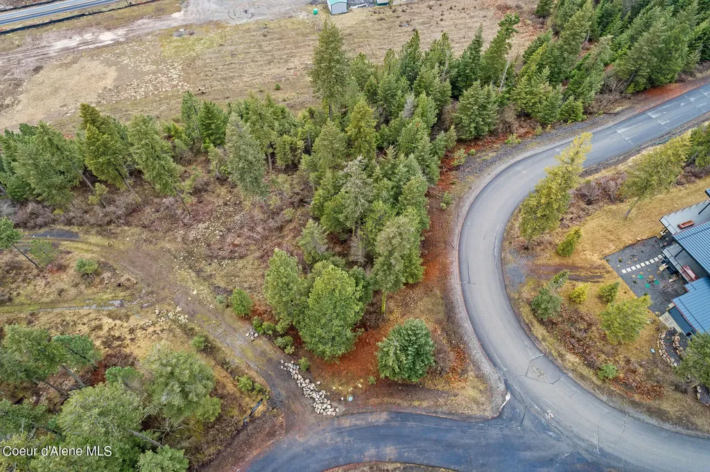Lot 1 Jackleg Trail Harrison ID 83833