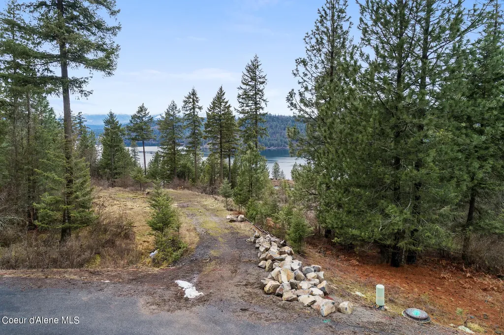 Lot 1 Jackleg Trail Harrison ID 83833