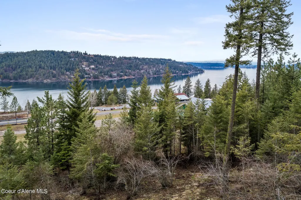 Lot 1 Jackleg Trail Harrison ID 83833
