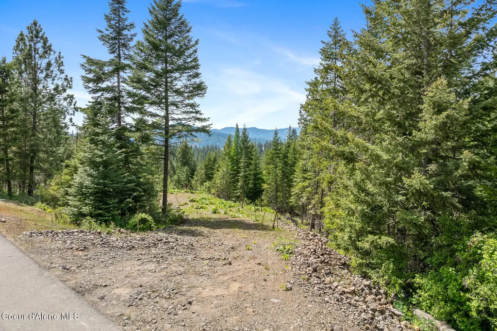 2056 Echo Canyon Drive Harrison ID 83833