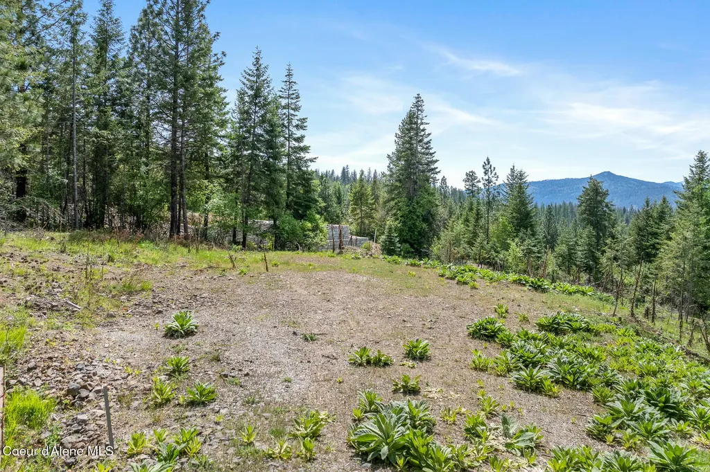 2056 Echo Canyon Drive Harrison ID 83833