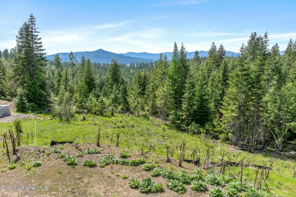 2056 Echo Canyon Drive Harrison ID 83833
