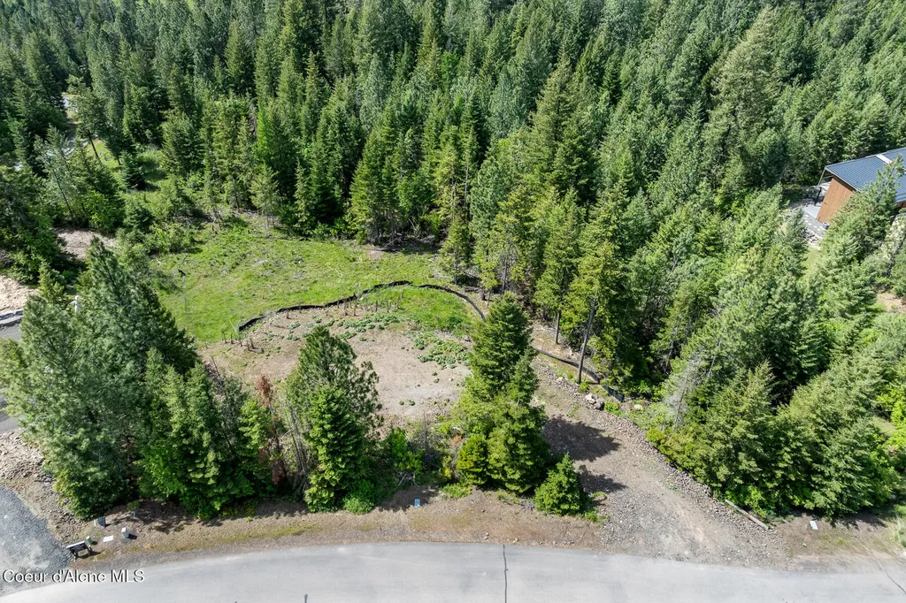 2056 Echo Canyon Drive Harrison ID 83833