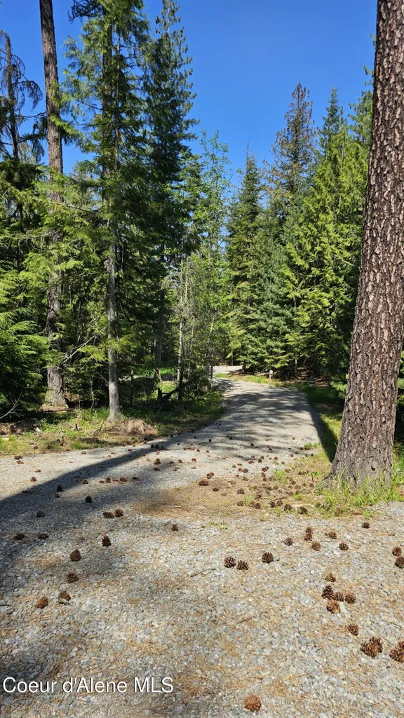 289 Providence Lake Loop Sagle ID 83860