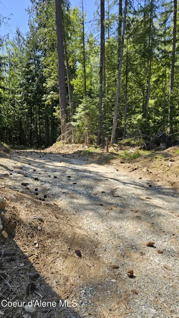 289 Providence Lake Loop Sagle ID 83860