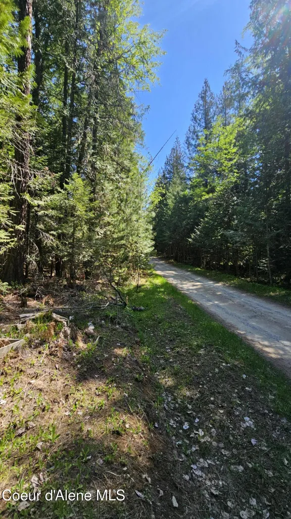 289 Providence Lake Loop Sagle ID 83860