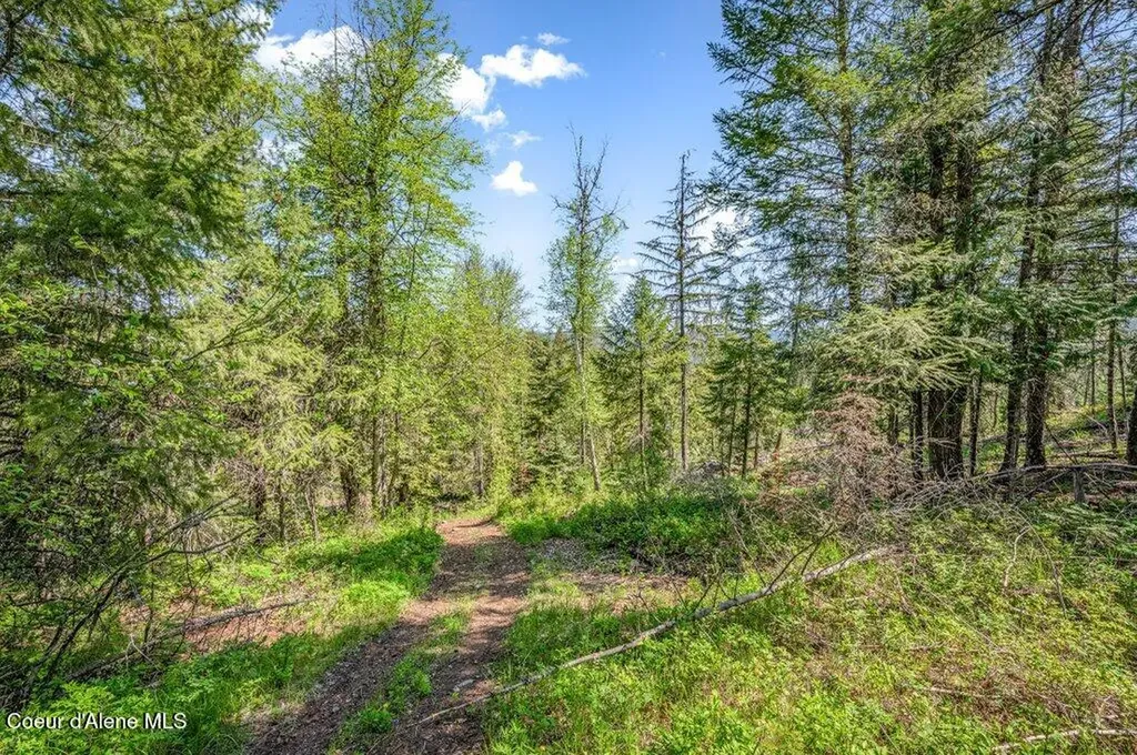 3183 Eastside Road Priest River ID 83856
