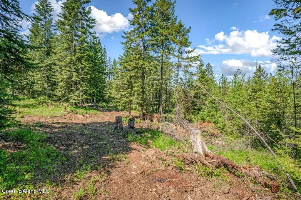 3183 Eastside Road Priest River ID 83856