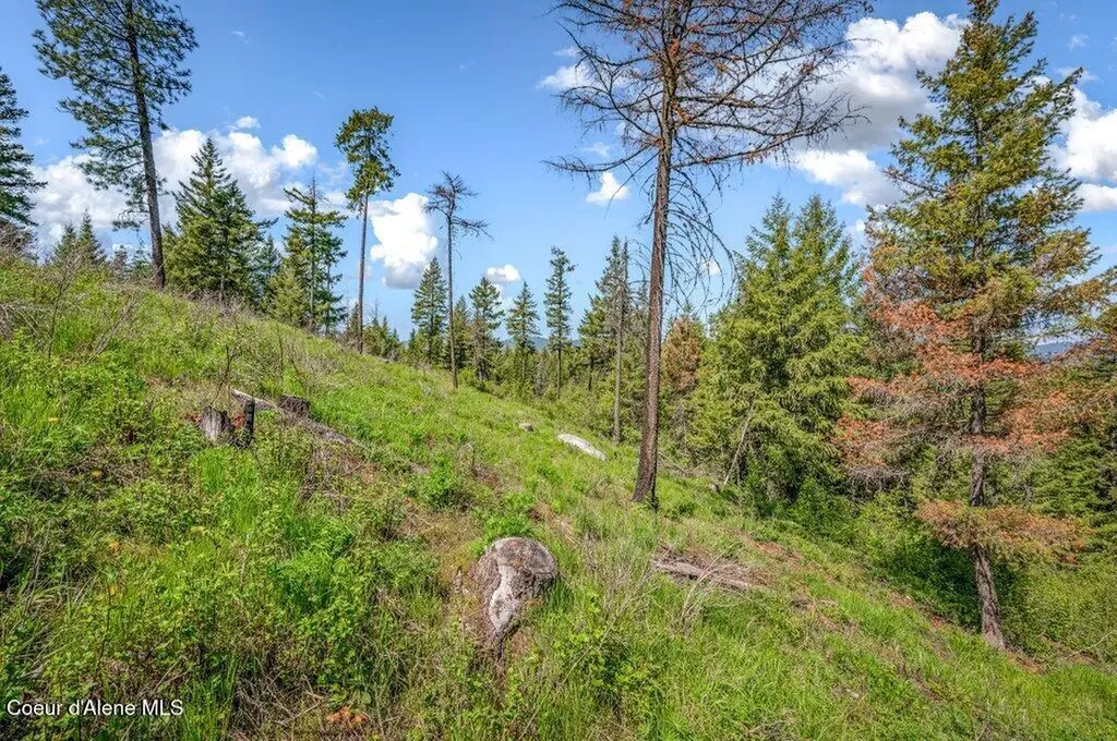 3183 Eastside Road Priest River ID 83856