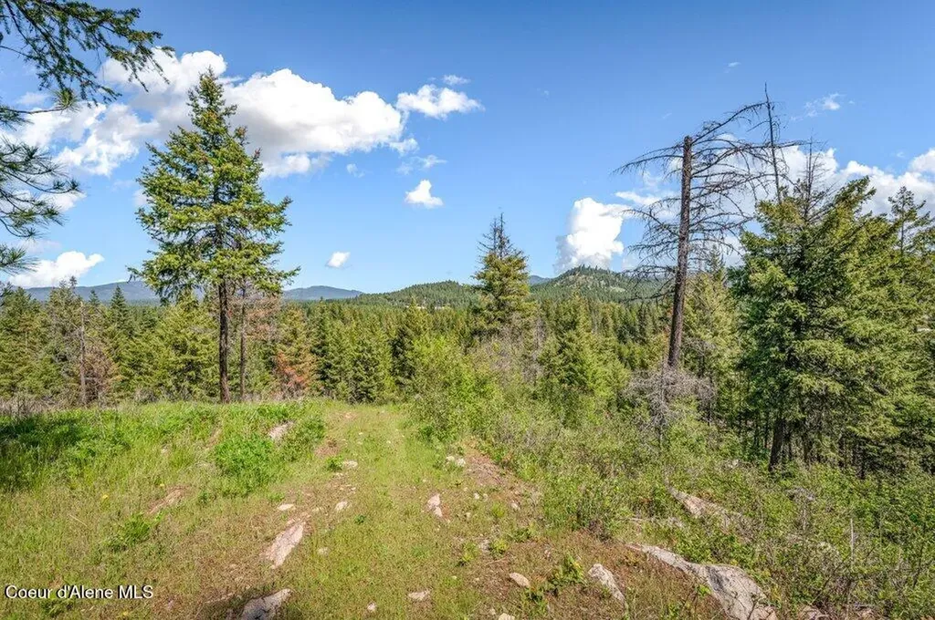3183 Eastside Road Priest River ID 83856