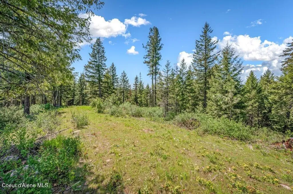 3183 Eastside Road Priest River ID 83856