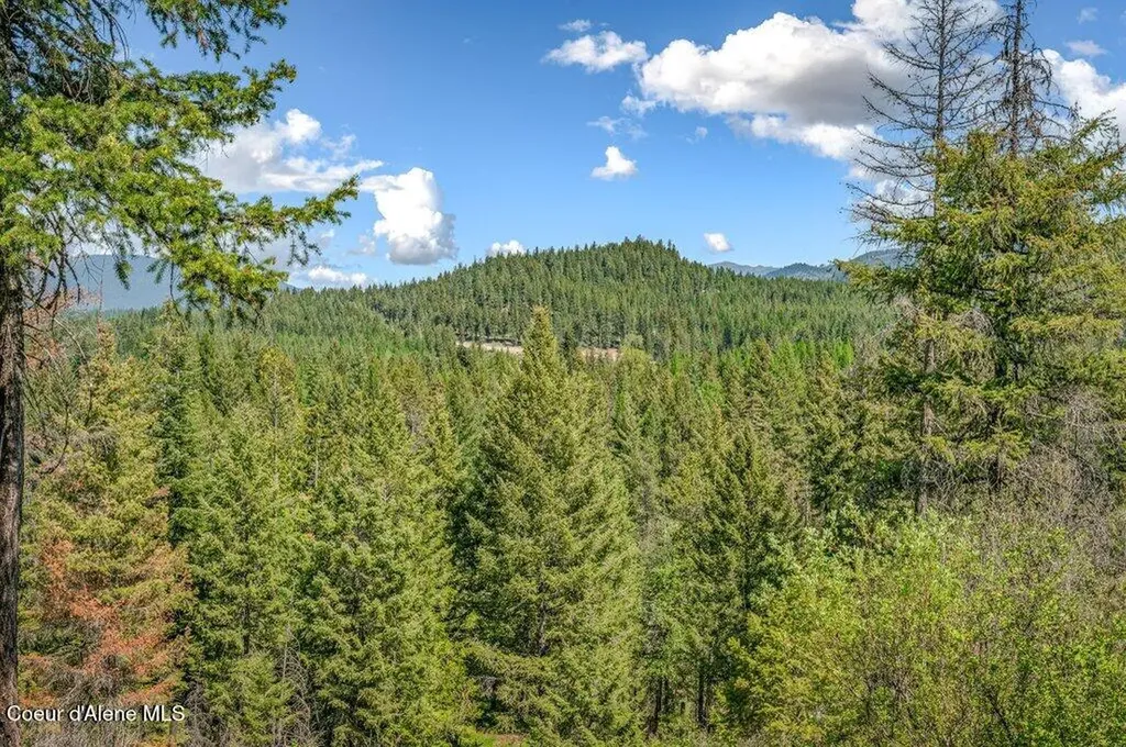 3183 Eastside Road Priest River ID 83856