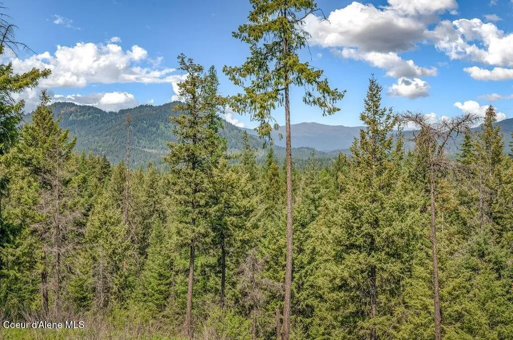 3183 Eastside Road Priest River ID 83856