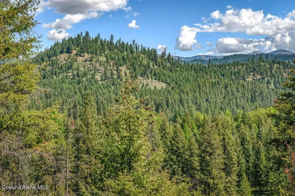 3183 Eastside Road Priest River ID 83856