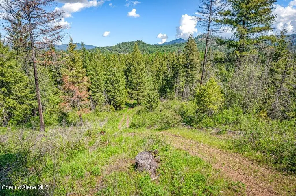 3183 Eastside Road Priest River ID 83856