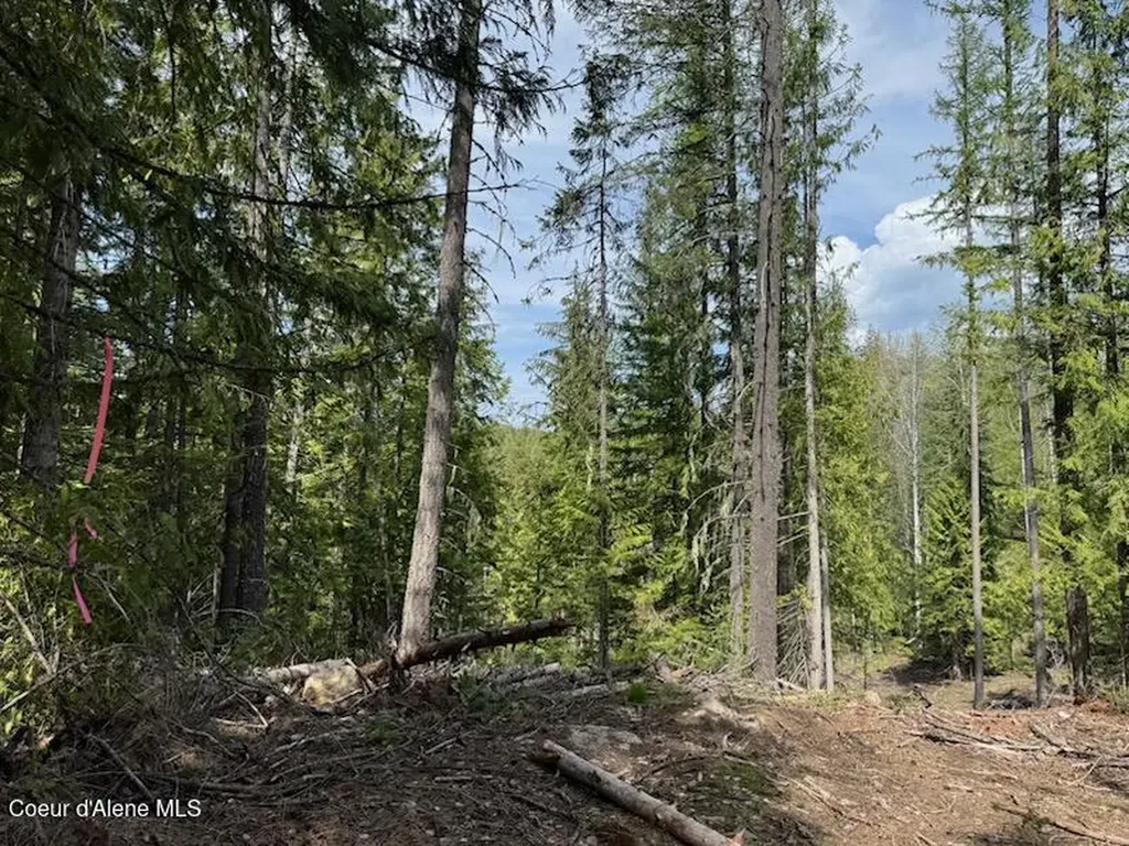 Nna Raven Ridge Road Sandpoint ID 83864