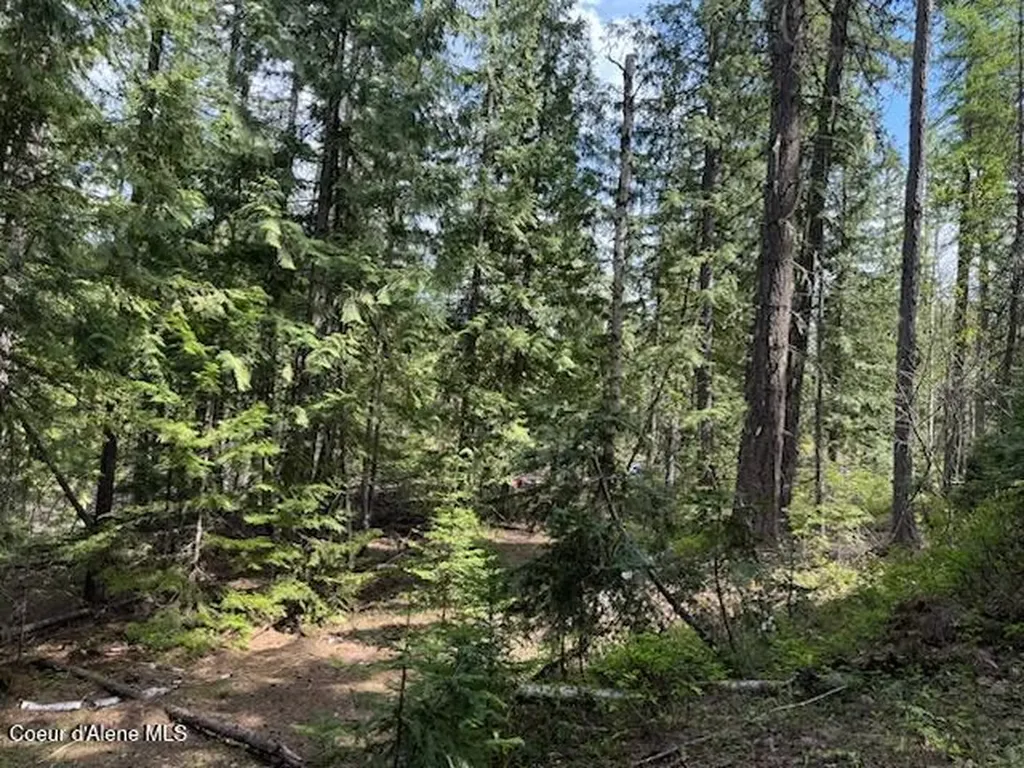 Nna Raven Ridge Road Sandpoint ID 83864